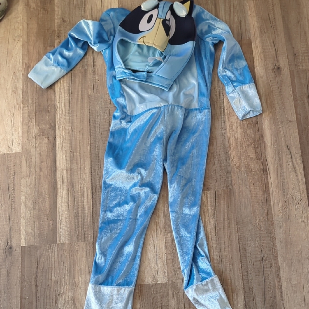 Bluey Cartoon Character Costume